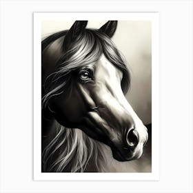 Creative Horse Beauty Illustration Nr 124 Art Print