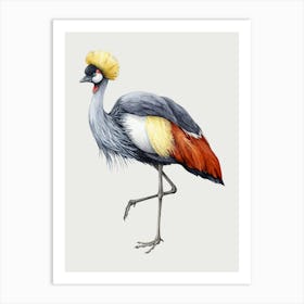 Crowned Crane Art Print