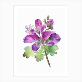 Wild Geranium Wildflower Watercolour 2 Art Print