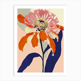 Colourful Flower Illustration Zinnia 2 Art Print