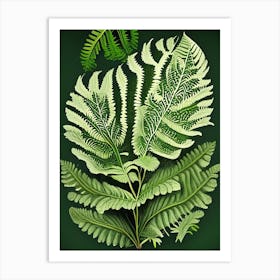 Mother Fern Vintage Botanical Poster Art Print