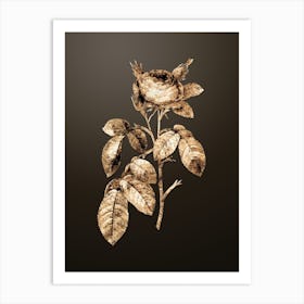 Gold Botanical Red Gallic Rose on Chocolate Brown Art Print