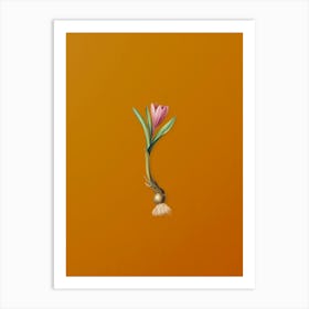 Vintage Spring Meadow Saffron Botanical on Sunset Orange n.0859 Art Print