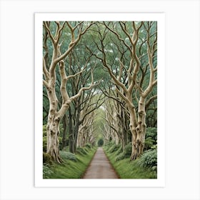 Mystical Dark Hedges Art Print