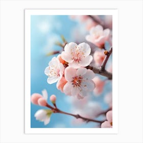 Cherry Blossoms 5 Art Print