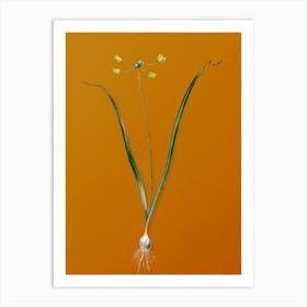 Vintage Allium Scorzonera Folium Botanical on Sunset Orange Art Print