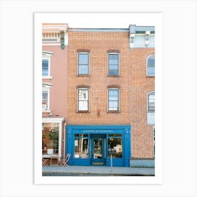 Hudson Street Upstate New York Art Print