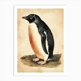 Adlie Penguin Bleaker Island Vintage Botanical Painting 1 Art Print