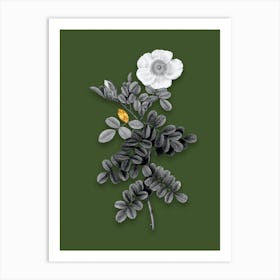 Vintage Macartney Rose Black and White Gold Leaf Floral Art on Olive Green n.0401 Art Print