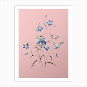 Vintage Campanule Clochette Botanical on Soft Pink n.0682 Art Print