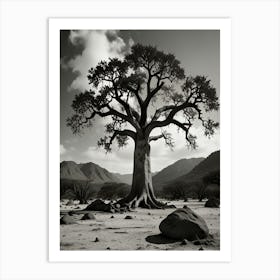 Baobab Tree 2 Art Print