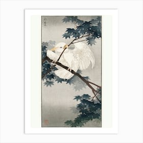 Yellow Crested Cockatoo In Tree (1900 1940), Ohara Koson Art Print