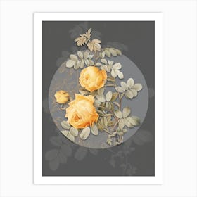 Vintage Botanical Vintage Sulphur Rose on Circle Gray on Gray n.0114 Art Print