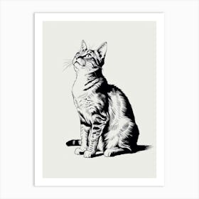 Cat Looking Up 1 Art Print