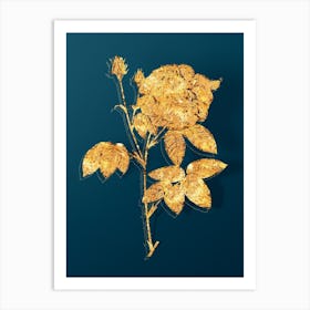 Vintage French Rose Botanical in Gold on Teal Blue n.0104 Art Print
