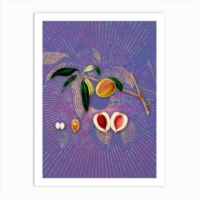 Vintage Peach Botanical Illustration on Veri Peri n.0211 Art Print