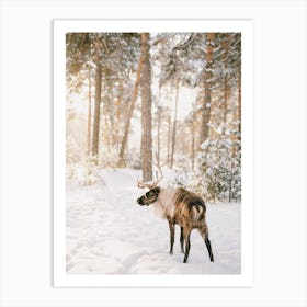 Reindeer In Snowy Forest Art Print