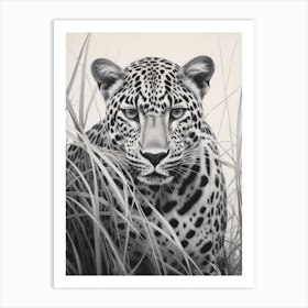 African Leopard Realism Portrait 1 Art Print
