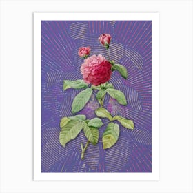 Vintage Agatha Rose in Bloom Botanical Illustration on Veri Peri n.0463 Art Print