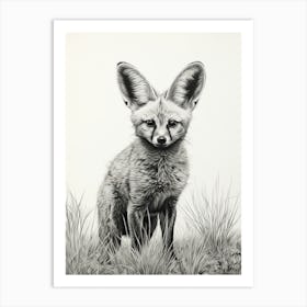 Bat Eared Fox In A Field Pencil Drawing 6 Art Print