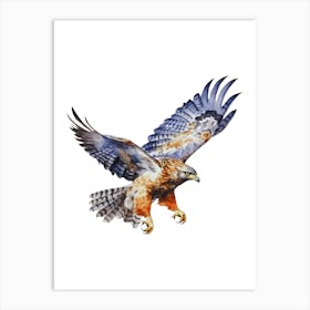 Hawk In Flight.3 Art Print