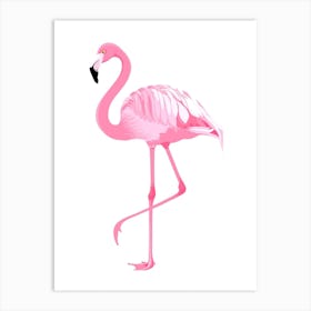 Pink Flamingo Art Print