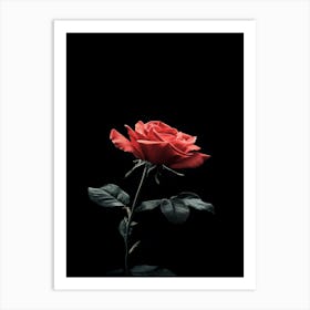 Black Rose 9 Art Print