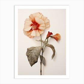 Pressed Flower Botanical Art Impatiens Art Print