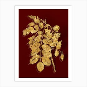 Vintage Robinier Rose Bloom Botanical in Gold on Red Art Print