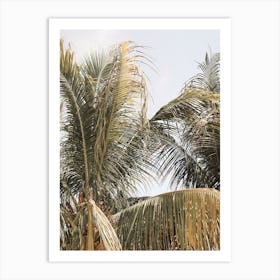 Palmtree Leaves Bali Art Print