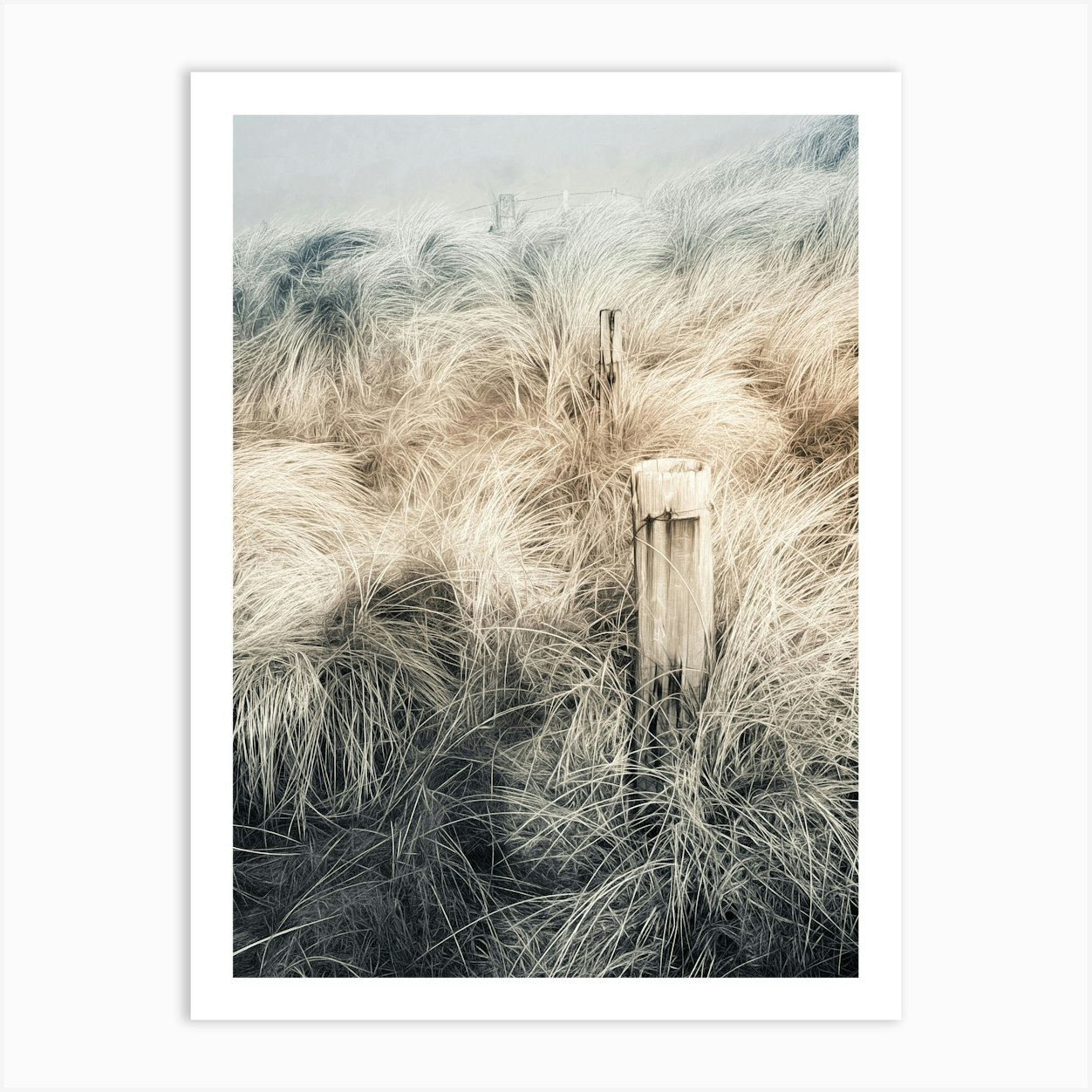 Broken Fence In Coastal Grass Art Print by Paul J Bucknall