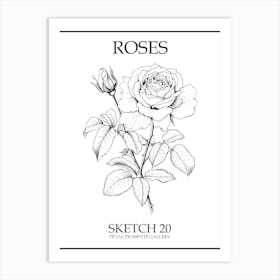 Roses Sketch 20 Poster Art Print