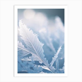 Frosty Leaves Art Print