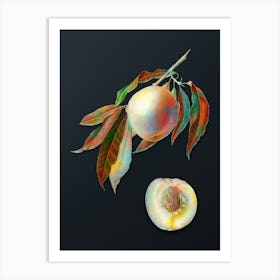 Vintage Peach Botanical Watercolor Illustration on Dark Teal Blue n.0945 Art Print