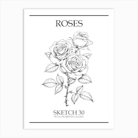 Roses Sketch 30 Poster Art Print