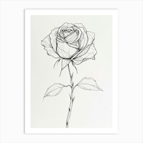 English Rose Black And White Line Drawing 18 Art Print
