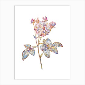 Stained Glass Pink Agatha Rose Mosaic Botanical Illustration on White n.0042 Art Print