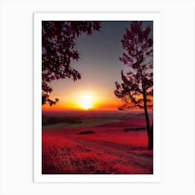 Sunset Over A Field 15 Art Print