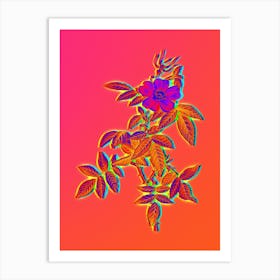 Neon Pink Boursault Rose Botanical in Hot Pink and Electric Blue n.0194 Art Print