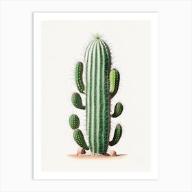 Trichocereus Cactus Marker Art 2 Art Print