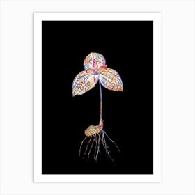 Stained Glass Tri Flower Mosaic Botanical Illustration on Black n.0210 Art Print