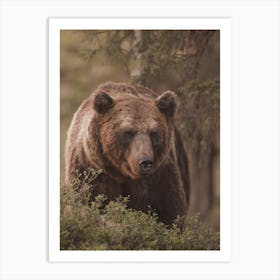 Warm Summer Bear Art Print