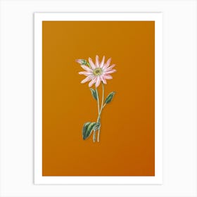 Vintage Mr. Dickson's Echinacea Botanical on Sunset Orange n.0304 Art Print