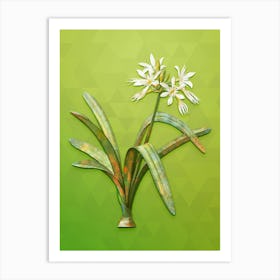 Vintage Pancratium Illyricum Botanical Art on Love Bird Green n.1047 Art Print