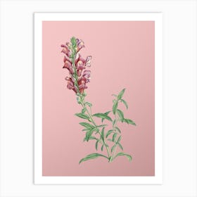 Vintage Red Dragon Flowers Botanical on Soft Pink n.0127 Art Print
