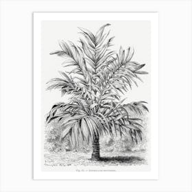 Vintage Palm Tree Art Print _2643187 Art Print