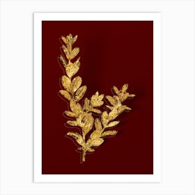 Vintage Buxus Colchica Bush Botanical in Gold on Red n.0532 Art Print