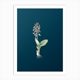 Vintage Brown Widelip Orchid Botanical Art on Teal Blue n.0568 Art Print