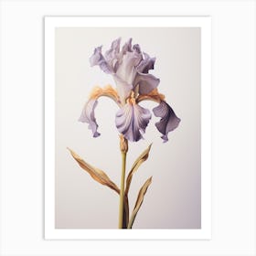 Pressed Wildflower Botanical Art Iris 3 Art Print