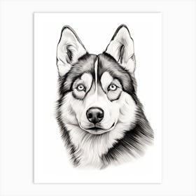 Siberian Husky Dog, Line Drawing 3 Art Print